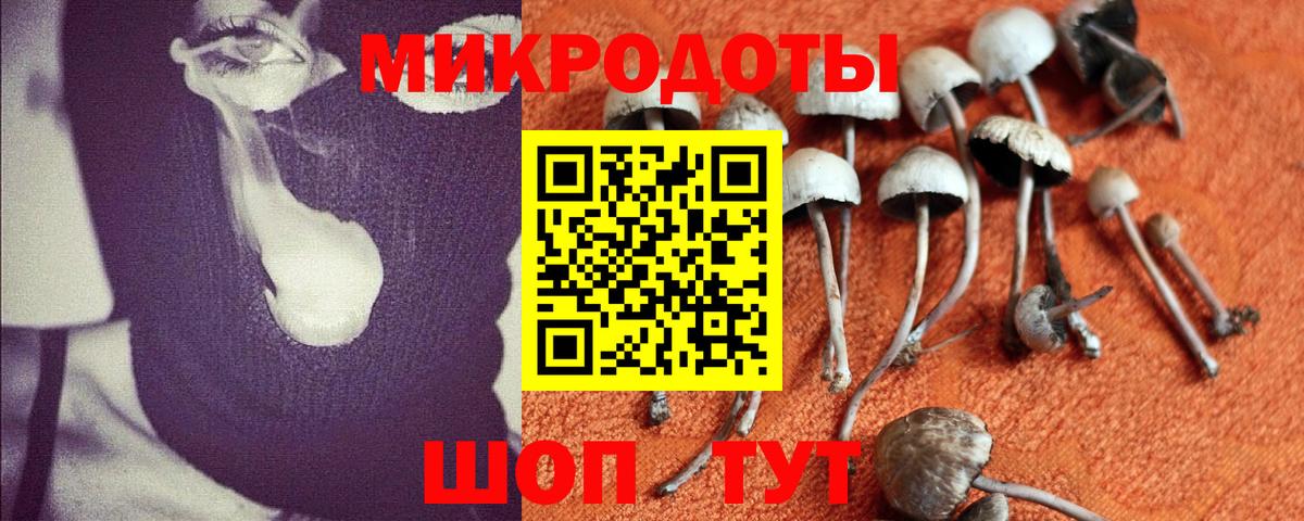 Галлюциногенные грибы ЛСД  Псилоцибиновые грибы Cubensis  Трёхгорный  Вход с VPN 