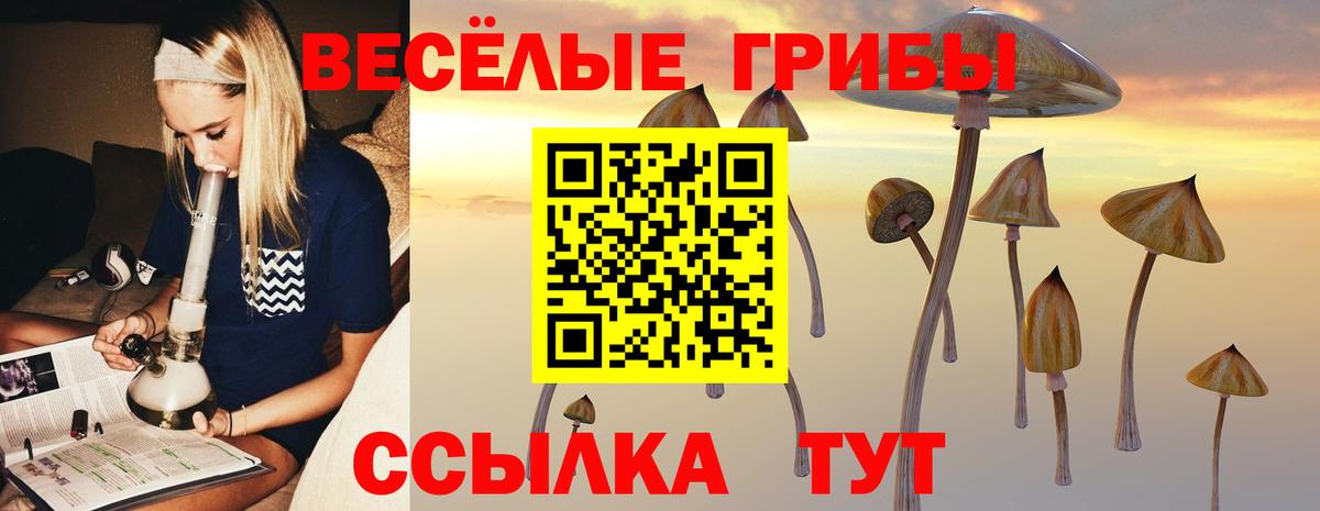 Галлюциногенные грибы мухоморы Трёхгорный